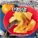 철이네농원(진영단감)