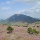 청구장여관 이미지