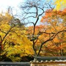 풍암제길 이미지