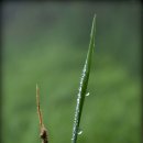 양대목장 이미지