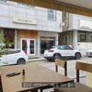 빈인더샵 | [카페] 화서 카페 빈인더샵 리모델링 후 앵무새 둘 데리고 방문한 후기 (+주차 팁, 반려동물 동반 O)