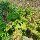 박용주농장 이미지