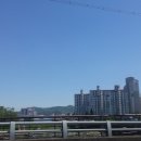 예일모터스카페 이미지