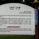 신접리 고인돌 이미지