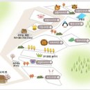 단풍숲캠핑장 이미지