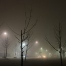 2024년 갑진년 해맞이행사 | 세종 새해 해맞이행사 후기 :: 일출보다 떡국 맛집 (+2026년 일정)