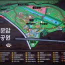 분홍소풍 - 성남시 분당구 운중로125번길 14-11 | 청주 가볼만한곳 문암생태공원 튤립 우리집밥 소풍 후기 꽃말