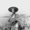 광화농장 이미지