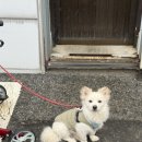 칠갑산황토펜션3 이미지