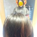 시트린헤어 이미지