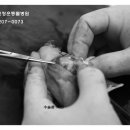 진정훈동물병원 이미지