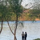 개나리낚시공원 | 서울 갈만한 곳 유럽 감성 느끼는 양화한강공원 주차 배달존 위치