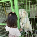 새양골펜션 | 경북 구미근교 성주 수영장 펜션 가족여행 새양골펜션