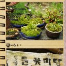 들꽃마당