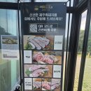 흑돼지패밀리 | [서귀포맛집] 제주돈돗 신화월드점 입안 가득 육즙 터지는 서귀포흑돼지 솔직 후기