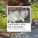 한가득자두농원 | 조용히 힐링하고 왔어요, 철원 가산농원캠핑장 1박 솔직 후기😊