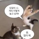 한국 행복하우스 KHH(Korea Happy House) | •8/3• 1주일 방학이 인간에 미치는 영향