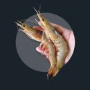 대하냉동