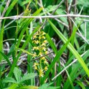 죽령 목장 이미지