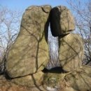 (주)고기세상