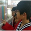 미르태권도 아카데미 이미지