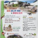 창조농촌체험승마장