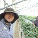 약수산채마을 이미지