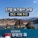 단양 애견 동반 여행 2박 3일 (펜션 + 카페 추천)