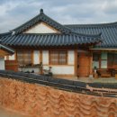 순천만 목향