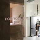 스테이시호일 이미지