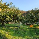 하늘농원1호 이미지