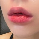 로아나 | 오아드립티크 000뉴테 011로아나 발색 후기 자연스럽게 오래가는 립타투 추천