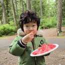 그로브(grove)캠핑 이미지