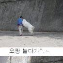 오팡 이미지