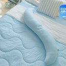 바디와이즈 이미지