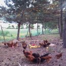 범수네농장 이미지