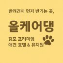 올케어댕 이미지