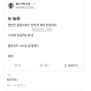 눈 엄청 높은 연세대 교직원 이미지
