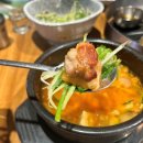 특돼지