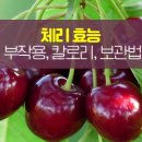 체리