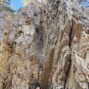 웰빙스포츠댄스 이미지