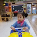 키즈아일랜드