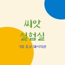 스테이프로젝트일호 | 2022 상반기 회고 - 변화무쌍 6개월