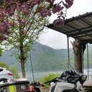 용인시청 관광안내소 이미지