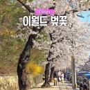 대구광역시립두류도서관 | 대구 벚꽃 명소 이월드 두류공원 벚꽃길 만개 포토존 추천