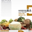 효소엔자임