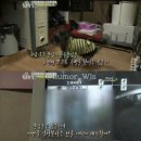 메이플모텔 이미지