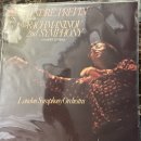 서기열 | [공지] [클래식이 흐르는 법문] 36. 빛나는 순간