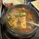 새안약국 | [임신 19-21주] 임산부일상 운동시작 약국알바 매직 속눈썹펌 정밀초음파 결과! 21주차 태아 크기