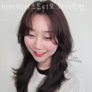 비바헤어스튜디오 네이버블로그